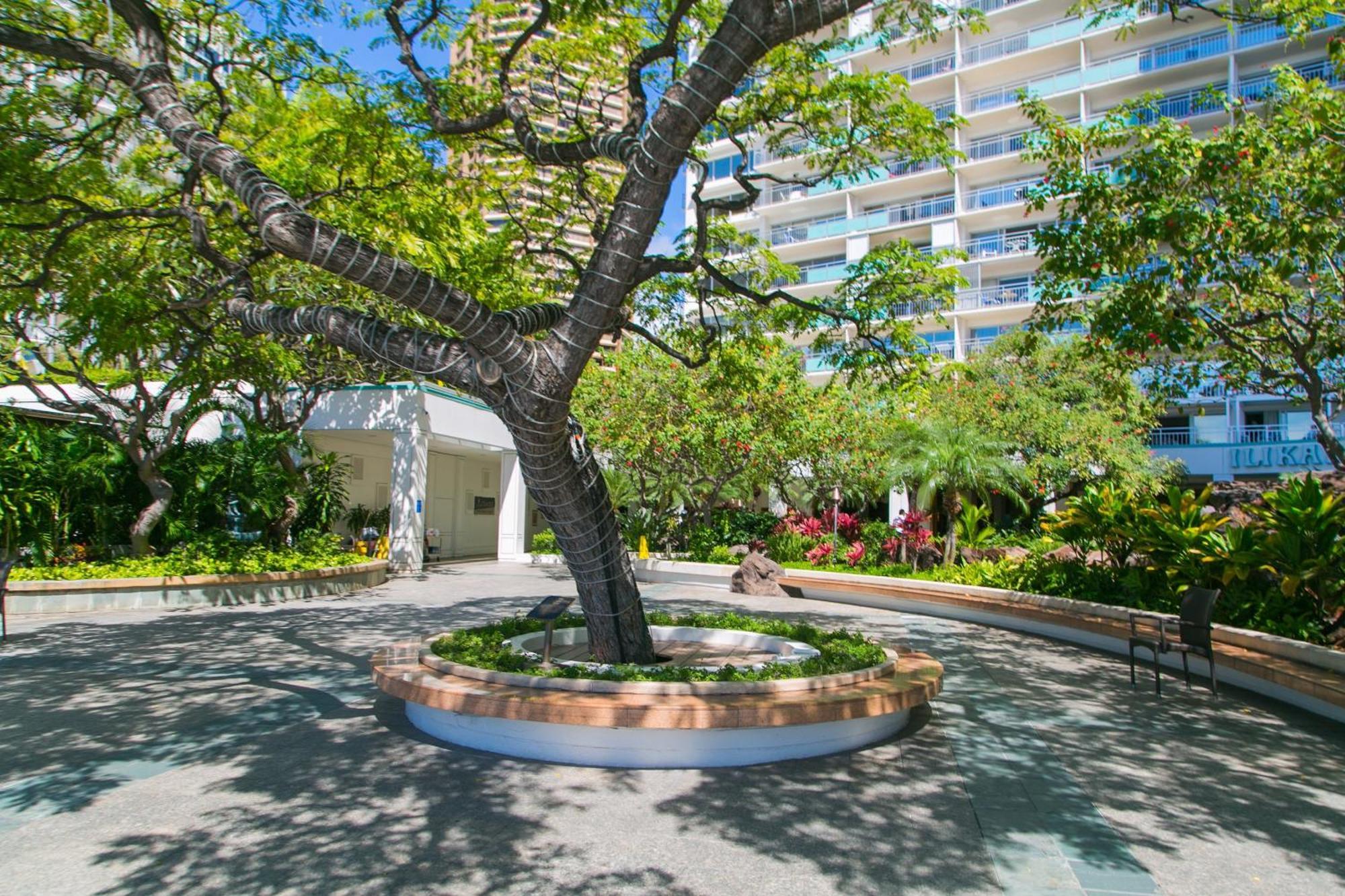 דירות הונולולו Ilikai Tower 931 Yacht Harbor View 1Br מראה חיצוני תמונה